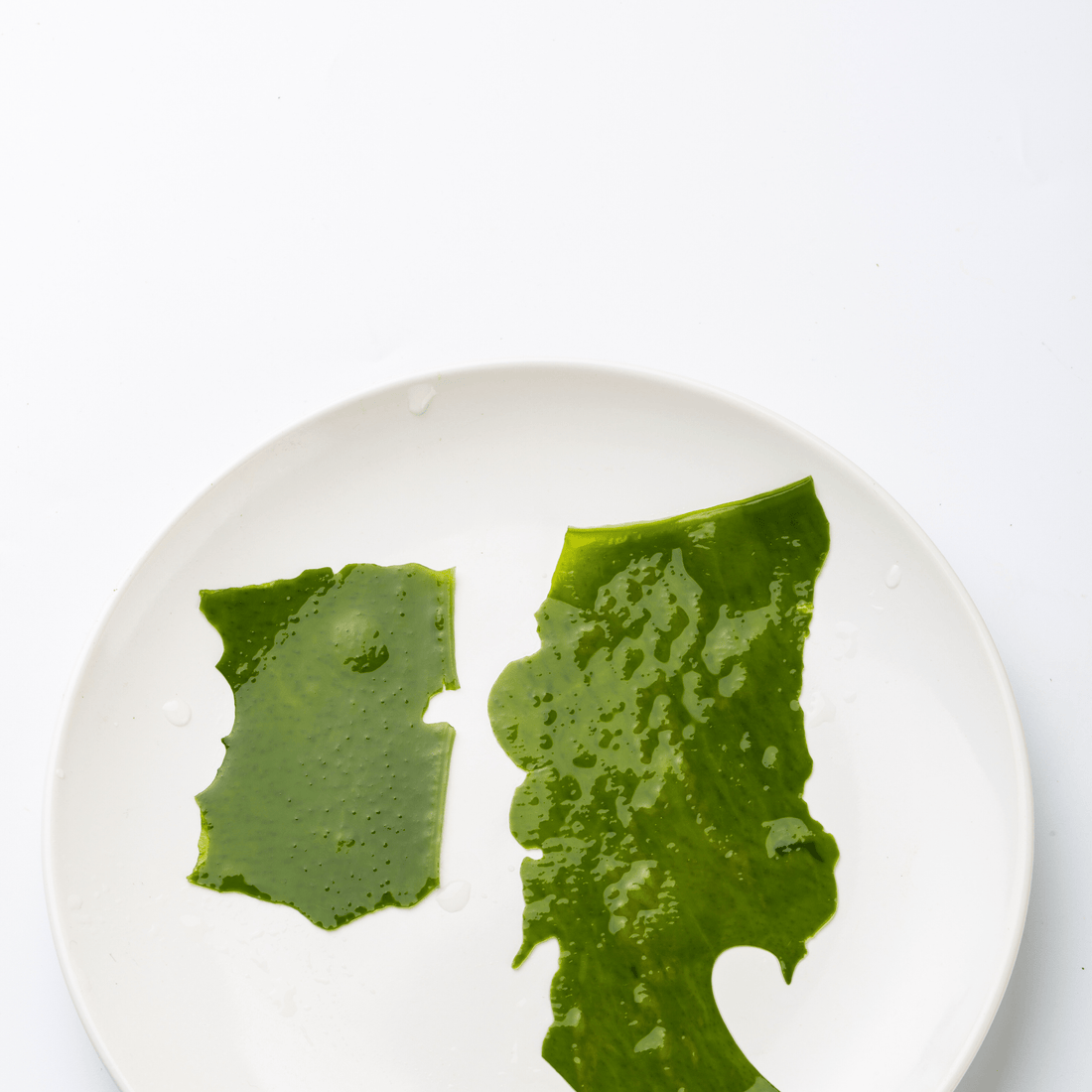 Les algues bretonnes : des alliées pour toutes les peaux - Beseed