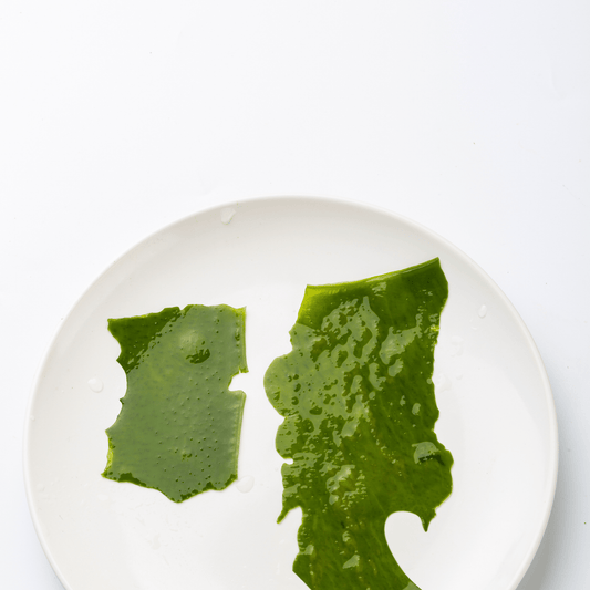 Les algues bretonnes : des alliées pour toutes les peaux - Beseed