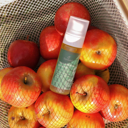 La récolte des pommes en automnes